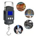 Digital Portable Fishing Scale 110lb/50kg Lcd Screen Portable Electronic Scale With Measuring Tape