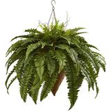 Giant Fern With Cone Hanging Basket