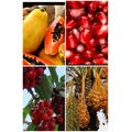 27 Fruit Seeds Pack - Cherry Tree Seeds, Papaya Pomegranate Palm Seeds