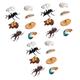 UPKOCH 24 Pcs Animal Model Ornaments Turtle Growth Cycle Bee Toy Puzzle Toy Insect Toy Model Life Cycle Toys Plastic Insects Simulation Model Number Toys Biological Pvc Frog Balloon Child