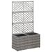 Latitude Run® Gray Poly Rattan Trellis Raised Bed w/ 2 Pots - 22.8" X 11.8" X 42.1" | 22 H x 42 W x 11 D in | Wayfair