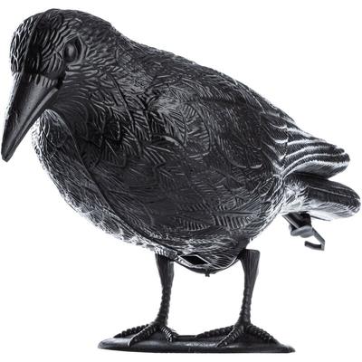 Card image cap