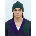 Argyle Wool Beanie