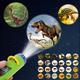 Cute Cartoon Dinosaur Projector Light - Bedtime Learning Fun For Kids! Christmas、halloween、thanksgiving Gift