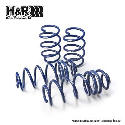 H&r Spezialfedern Fahrwerkssatz, Federn [Hersteller-Nr. 29255-1] für BMW