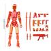 TOFOTL T13 Action Figure Lucky 13 Action Figure Robot Action Figure with Multiple Accessories 3D Printed Action Figure Multi Jointed Action Figures Dummy 13 Action Figure Desktop Decorations