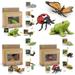 Montessori Life Cycle Learning YPF5 & Education Toys - Plastic Insect Ladybug Monarch Butterfly and Tadpole-to-Frog Kit for Kids Preschool Learning Activities for Toddlers