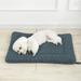 Simplmasygenix Orthopedic Bed for Medium Dogs Foam Pet Bed- Pet Supportive Foam Pet Couch Mattress Nonskid Bottom-Comfy Anxiety Pet Bed Mat