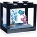 Fish Tank Aquarium Tank Stackable Mini Fish Tank Aquarium Tank Kit 3/5 Gallon Rectangular Fish Bowl with Aquarium Gravel Decoration Cube Tank for Seaweed Balls Sea Monkeys Black