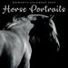 2024 Square Wall Calendar Horse Portraits 16-Month Black And White Photos