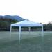 Outdoor 10x 10Ft Pop Up Gazebo Canopy with 4pcs Weight sand bag,with Carry