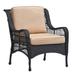 Outdoor Wicker Chair Rattan Patio Dining Chair,PE Wicker Patio Chair with 4inch Seat Cushions