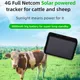 4G global universal cattle and sheep horse GPS locator pet anti-lost device solar GPS smart tracker