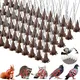 Stainless Steel Bird Repeller Spikes Repeller Anti-Cat Anti-Pigeon Spikes Anti-Squirrel Anti-Wild