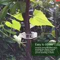 Garden Plant Support Clips Orchid Flower Ties Secured Plastic Plant Clip Vegetables Tomato Vine
