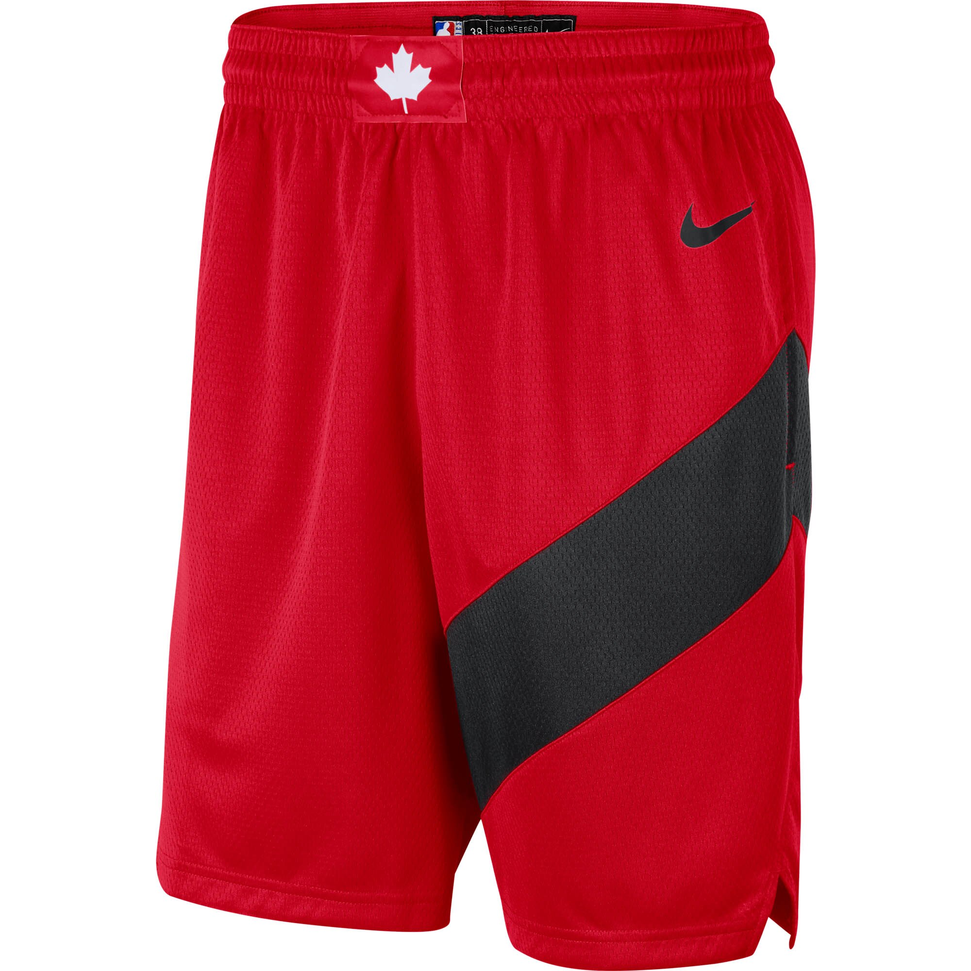 Toronto Raptors Nike Icon Swingman Shorts – Herren Image