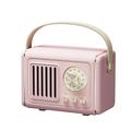 P19 Haut-parleur Bluetooth Bluetooth Radio FM Mini Son stéréo Haut-parleur Pour Téléphone portable