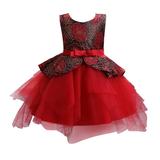 HBYJLZYG Sleeveless Lace Puffy Dress Ball Gown Toddler Kids Baby Floral Embroidered Lace Ball Gown Clothes Princess Dresses For Girls 0-6 Yeras Baby Shower Gift
