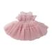 Tengma Toddler Girls Dresses Baby Lace Sleeveless Dress Solid Color Bow Dress Princess Puffy Dress Wedding Party Prom Wedding Party Princess Dress Pageant Gown Pink 100