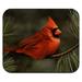 Northern Cardinal Red Pine Perch Low Profile Thin Mouse Pad Mousepad