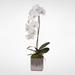 Real Touch Silk Phalaenopsis Orchid in Silver Ceramic Pot - White