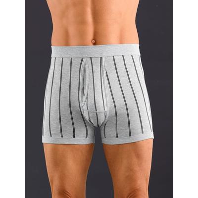 Schlüpfer WÄSCHEPUR, Herren, Gr. 10, grau (hellgrau, gestreift), 75% Baumwolle, 25% Polyester, Unterhosen Image