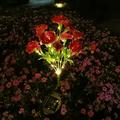 Solar Lights Outdoor Garden Waterproof Solar Powered Flower Stake Lights LED Outdoor Solar Lights Decorative Lights Landscapes Stake Lights Auto On/Off for Outdoor Patio Yard Garden