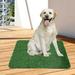 Feledorashia Artificial Dog Grass Puppy Pee Pad Washable Indoor Outdoor Potty Training Replacement Turf for Puppy Reusable Realistic Grass for Dogs 14x18inch