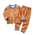 FY24 Valentine s Day Holiday Deals! Itsun Baby Boy Pajamas Little Boys Pajamas Sets Dinosaur Cotton 2 Piece Toddler Clothes Kids Pjs Sleepwear Brown 3-4 Years