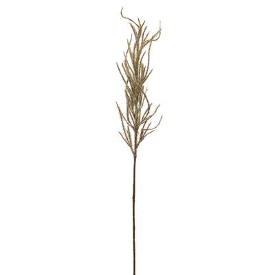 Flocked Beige Pampas Grass Spray (Set Of 4) by Melrose in Brown