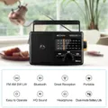 Radio portable Bluetooth AM FM SW LW DSP Plug in Radios Batterie 62By AC ou 4xD Grand