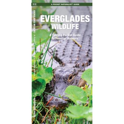 Everglades Wildlife: A Folding Pocket Guide To Familiar Animals