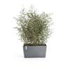 Fioriera Paris 60 Blu Grigio - 60 x 26 x h. 40 cm - 46,7 l Ecopots