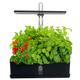 Automatic Hydroponics Growing System, Indoor Herb Garden Starter Kit with LED Grow Light, Smart Garden Planter for Home Kitchen,Black