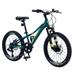 Arnahaishe 20 Inch Mountain Bike for Kids Ages 5-12 Years Old 7 Speed Shimano Drivetrain Disc Brakes Mountain Bycicle for Girls and Boys Green