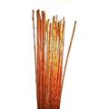 Natural Thin Bamboo Stakes Over 5 Feet Tall - Pack Of 20 (Natural Brown)