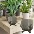 HACHUM Plant Pot With Finger Up Unique Cute Flower Pots For Succulents Finger Novelty Planter Holds Small Plants Funny Expression Indoor Plant Pot For Plants Lover On Clearance