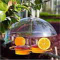 Fimeskey Bird Feeders Hanging Wild Birds Pirole Feeders Feeding Stations 6.3 Inch Height 6.3 Inch Widening Feeding Stations For Wild Birds Jelly And Oranges Hummingbirds Houses For Outdo