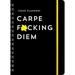 Pre-Owned 2023 Carpe F*cking Diem Planner: 17-Month Weekly Organizer with Stickers to Get Shit Done Monthly (Thru December 2023) (Calendars & Gifts Swear By) Paperback