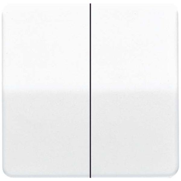 Jung Wippe lgr CD 595 LG CD595LG Image