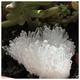 BIANMTSW Home Collections Natural Clear Quartz Crystal Cluster Minerals Stone Home Furnishing Decoration Decoration (Size : 300-400g)