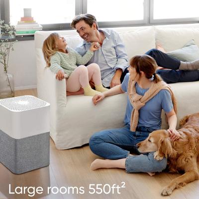 Air Purifier Large Room, Air Cleaner for Dust Smoke Mold Pollen, Odor Removal, Washable Pre Filter, HEPASilent, Blue 211+ Auto