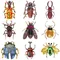 Fashion Dung Beetle spille per accessori da donna spille in metallo con strass spilla per insetti