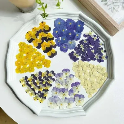 Flowers+Plants
