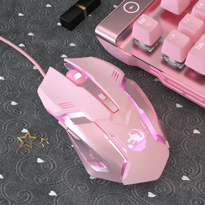 Computer+Gaming+Software