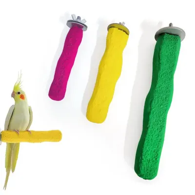 Bird+Supplies