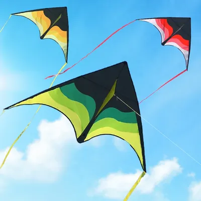 YongJian Large Beach Delta Kite for Adults and Kids Extremely Easy to Fly for Beginners Comes with