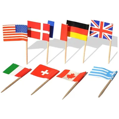 100pcs National Flags Picks Different Countries Art Toothpicks Party Sticks