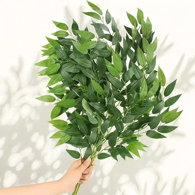 Flowers+Plants
