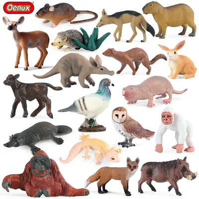 Oenux New Wild Animals Forest Orangutan Pigeon Hedgehog Aardvark Capybara Action Figure Model